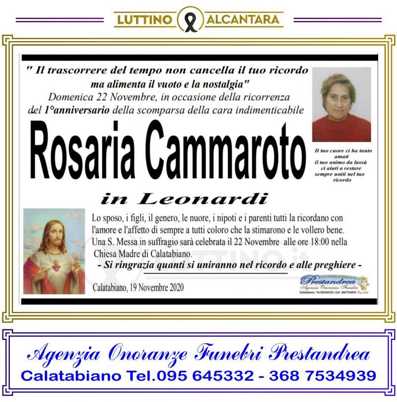 Rosaria  Cammaroto 